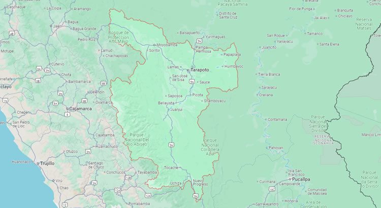 Mapa del Departamento de San Martín